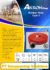 Jual Selang Pemadam / Fire Hose AKRON FLOW di Glodok gedung LTC Jakarta Barat Call/WA 081310626689