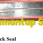Jual Cable Lock Seal STC 01 di Lindeteves Trade Center Glodok Jakarta Barat Call/WA 081310626689 Email: info@anekaalatpemadam.com