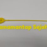 Seal Security Type MJW 200 di Depok